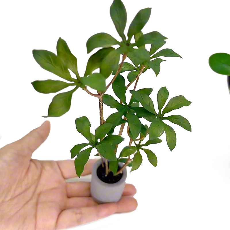 Bonsai Garden Accessories - دمية مصغرة نموذج نباتات بوعاء ،