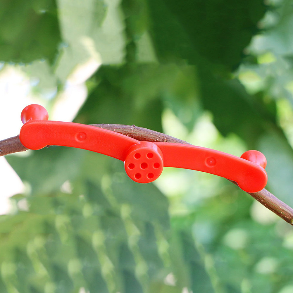 Bonsai Garden Tools - 10 قطع من مشابك تدريب النباتات