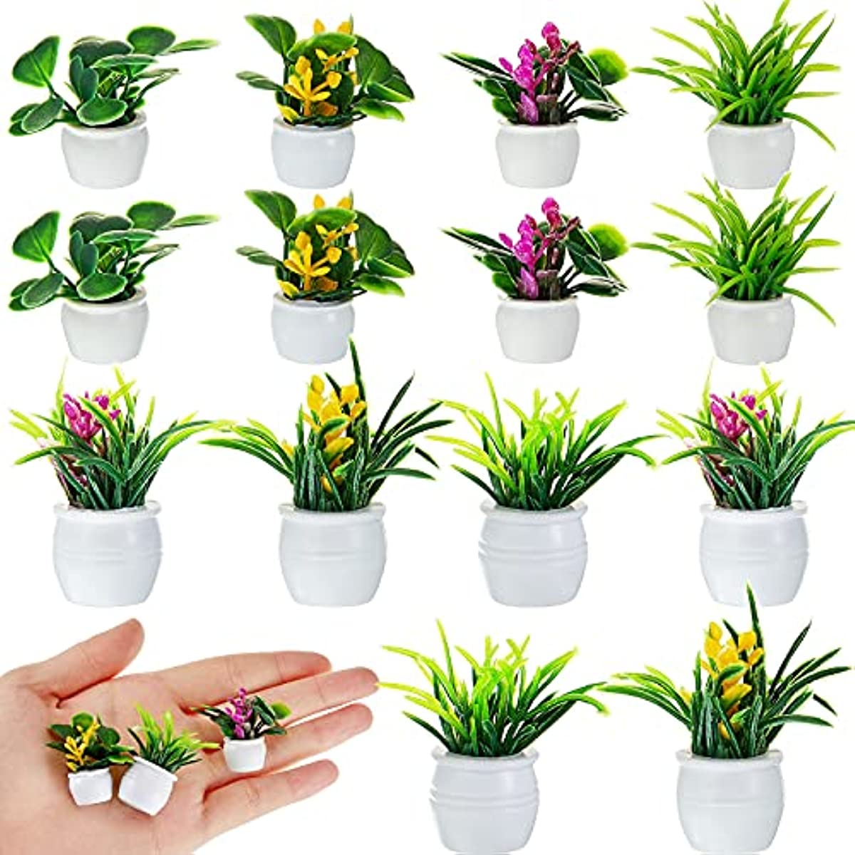 Bonsai Garden Accessories - نبات بيت الدمى، نبات بونساي مصغر،