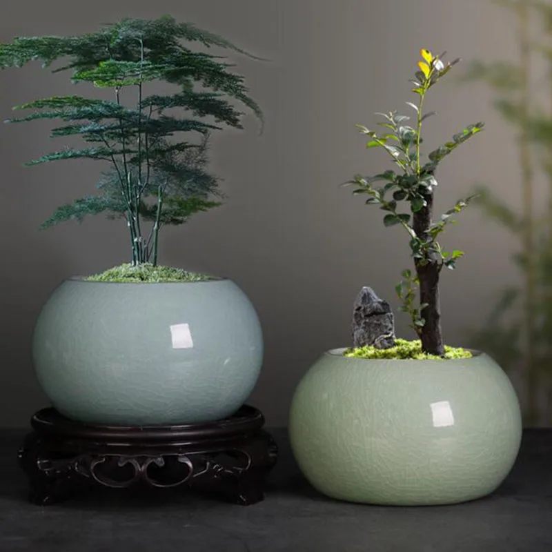 Bonsai Garden Europe - وعاء زرع سيراميك على الطراز الصيني