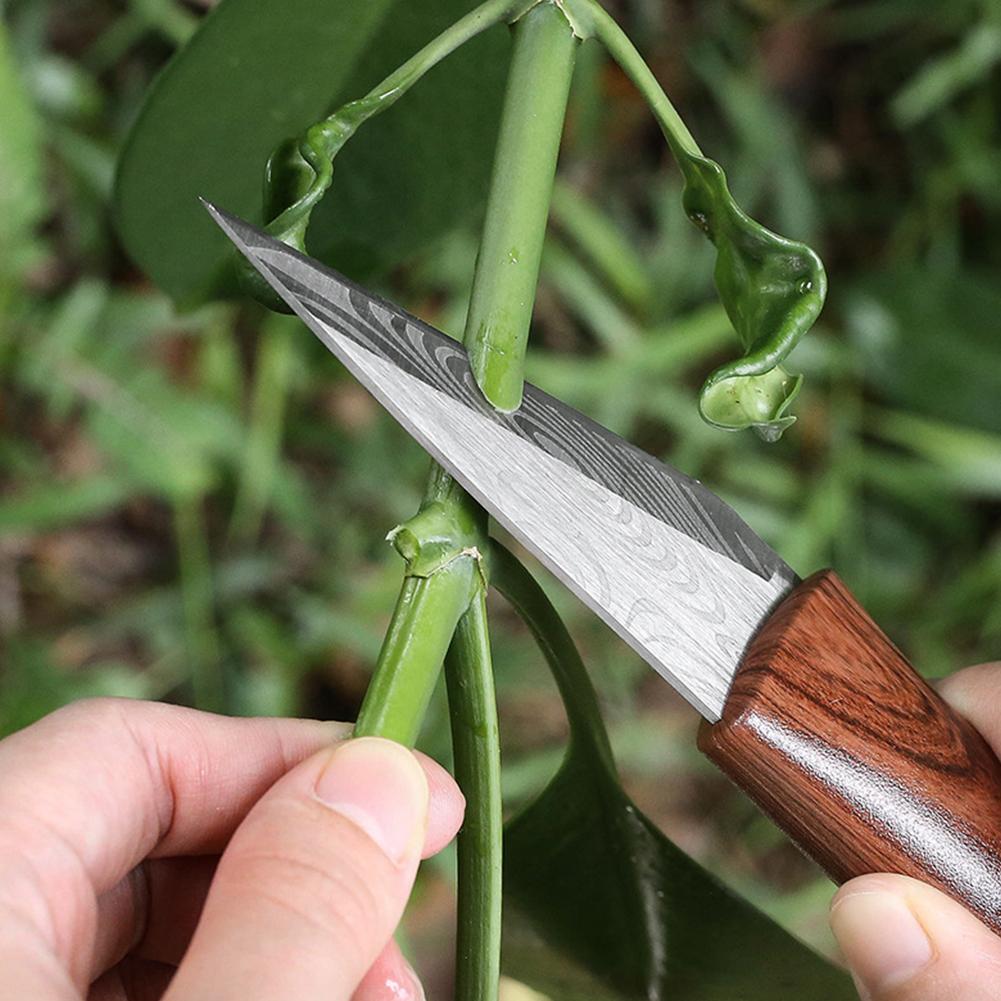 سكين تطعيم احترافي للحدائق وأش - مراجعة Bonsai Tool Set وسعره