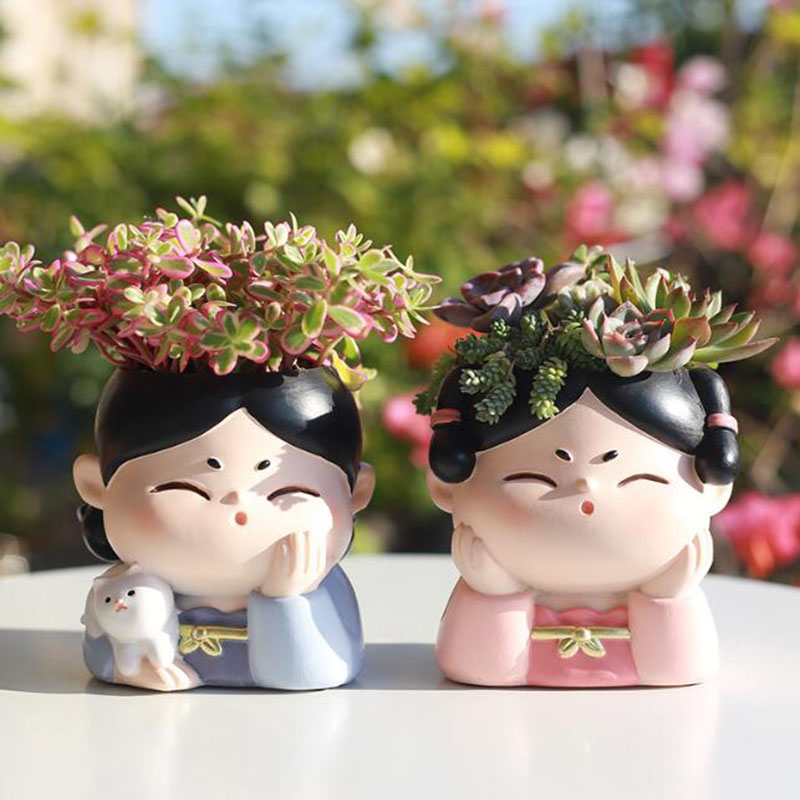 الراتنج سلالة تانغ سيدة الحضان - مراجعة Bonsai Garden Europe وسعره