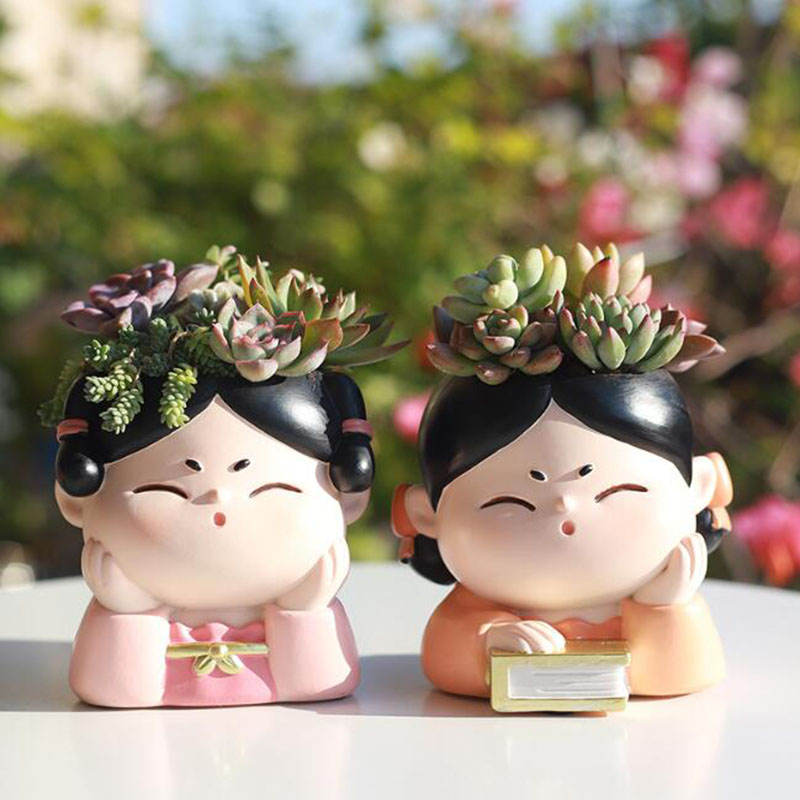 الراتنج سلالة تانغ سيدة الحضان - مراجعة Bonsai Garden Europe وسعره
