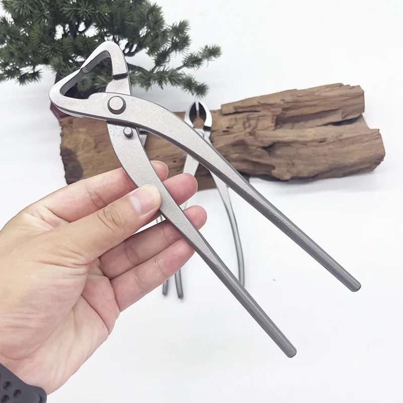 1 قطعة الفولاذ المقاوم للصدأ ب - مراجعة Bonsai Tool Set وسعره
