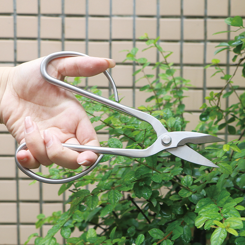 مقصات حديقة من الفولاذ بالكامل - مراجعة Bonsai Tool Set وسعره