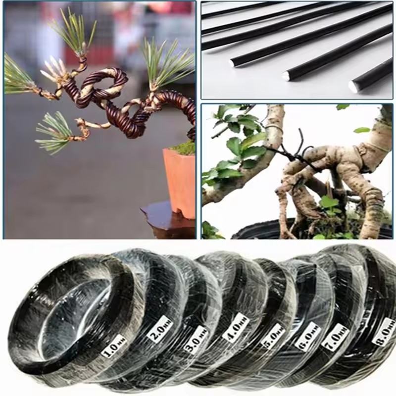 سلك تشكيل النباتات وملحقات الح - مراجعة Bonsai Garden Accessories وسعره
