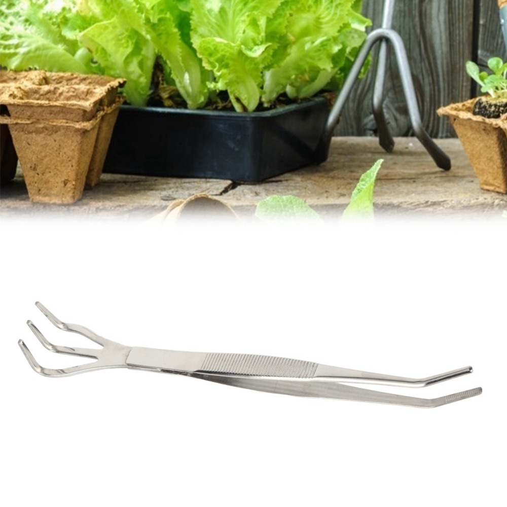 مجرفة بونساي متينة 2 في 1 من ا - مراجعة Bonsai Garden Tools وسعره