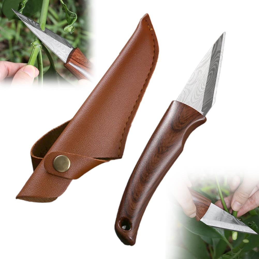 سكين تطعيم بمقابض خشبية وغلاف  - مراجعة Bonsai Tool Set وسعره