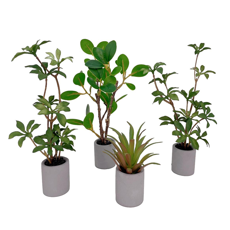 1:6 دمية مصغرة بوعاء النبات ال - مراجعة Bonsai Garden Accessories وسعره