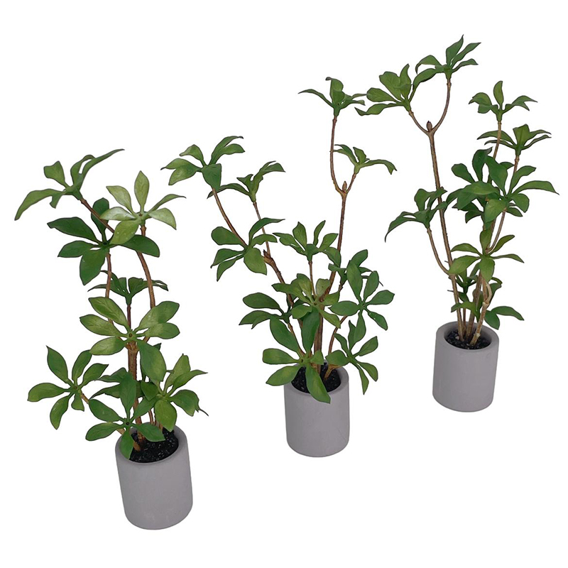1:6 دمية مصغرة بوعاء النبات ال - مراجعة Bonsai Garden Accessories وسعره