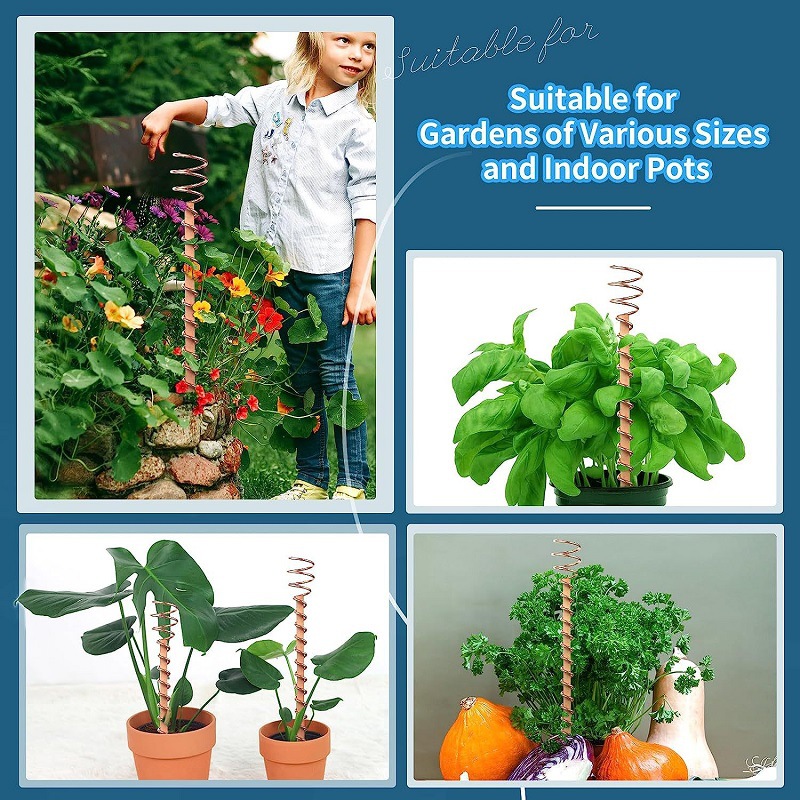 أسلاك نحاسية لتثبيت نباتات الب - مراجعة Bonsai Garden Accessories وسعره