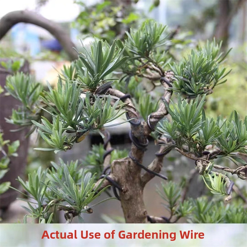 أسلاك بونساي من الألومنيوم بسم - مراجعة Bonsai Garden Accessories وسعره