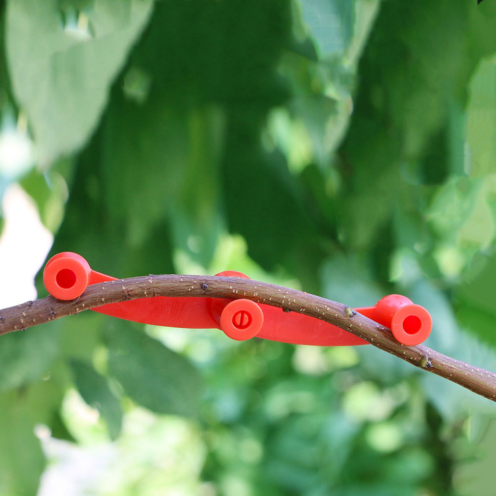10 قطع من مشابك تدريب النباتات - مراجعة Bonsai Garden Tools وسعره