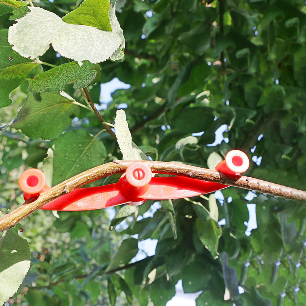 10 قطع من مشابك تدريب النباتات - مراجعة Bonsai Garden Tools وسعره