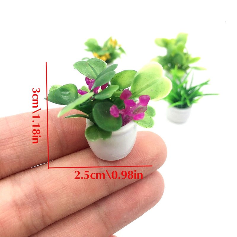 نبات بيت الدمى، نبات بونساي مص - مراجعة Bonsai Garden Accessories وسعره