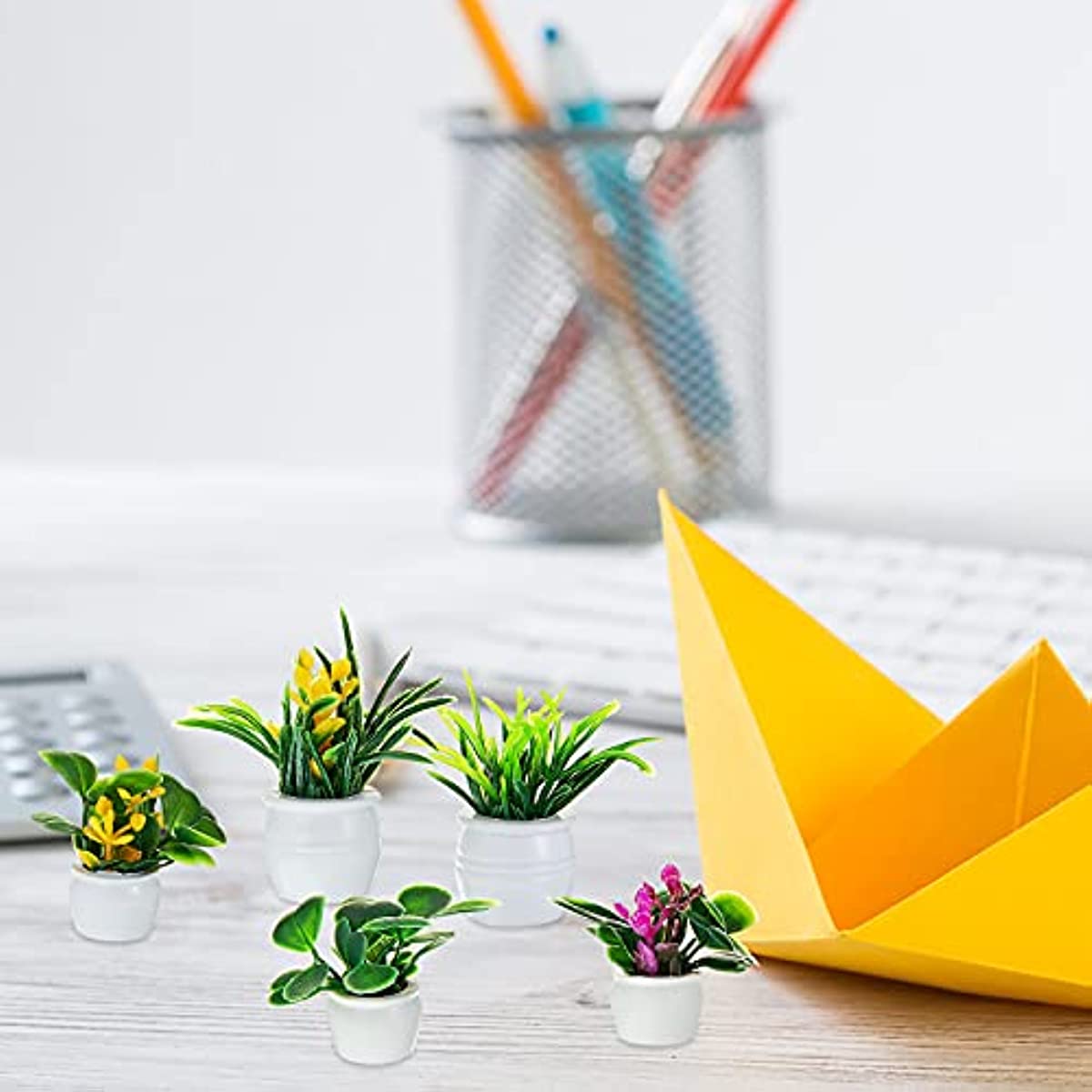 نبات بيت الدمى، نبات بونساي مص - مراجعة Bonsai Garden Accessories وسعره