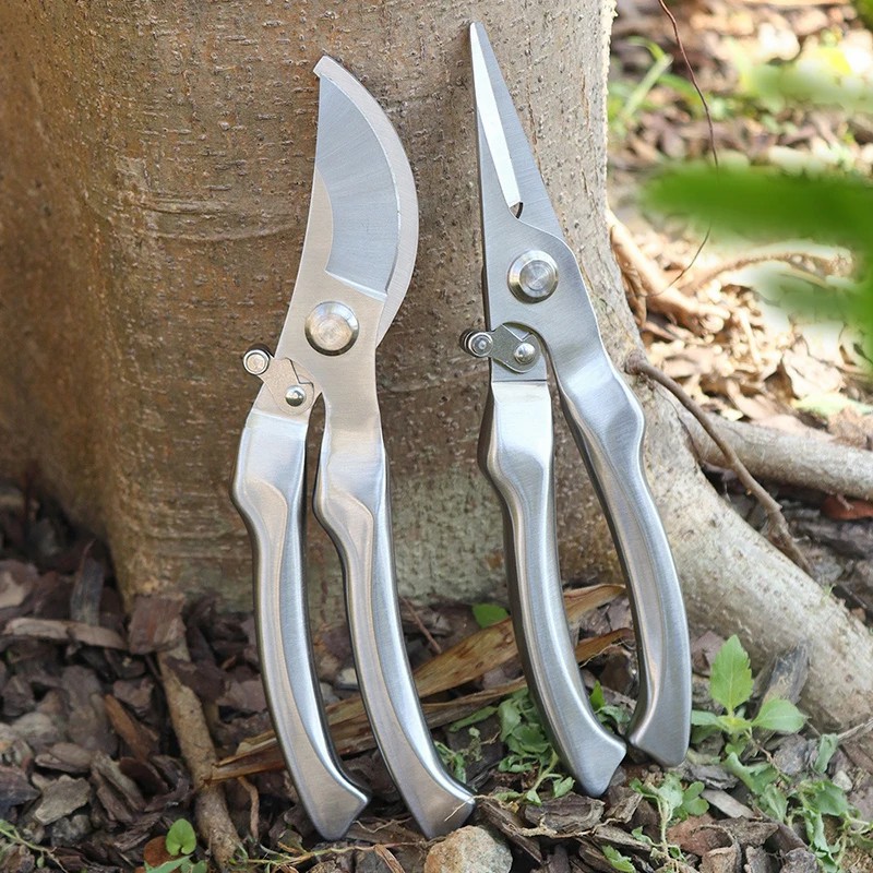 مقص تقليم احترافي مصنوع بالكام - مراجعة Bonsai Tool Set وسعره
