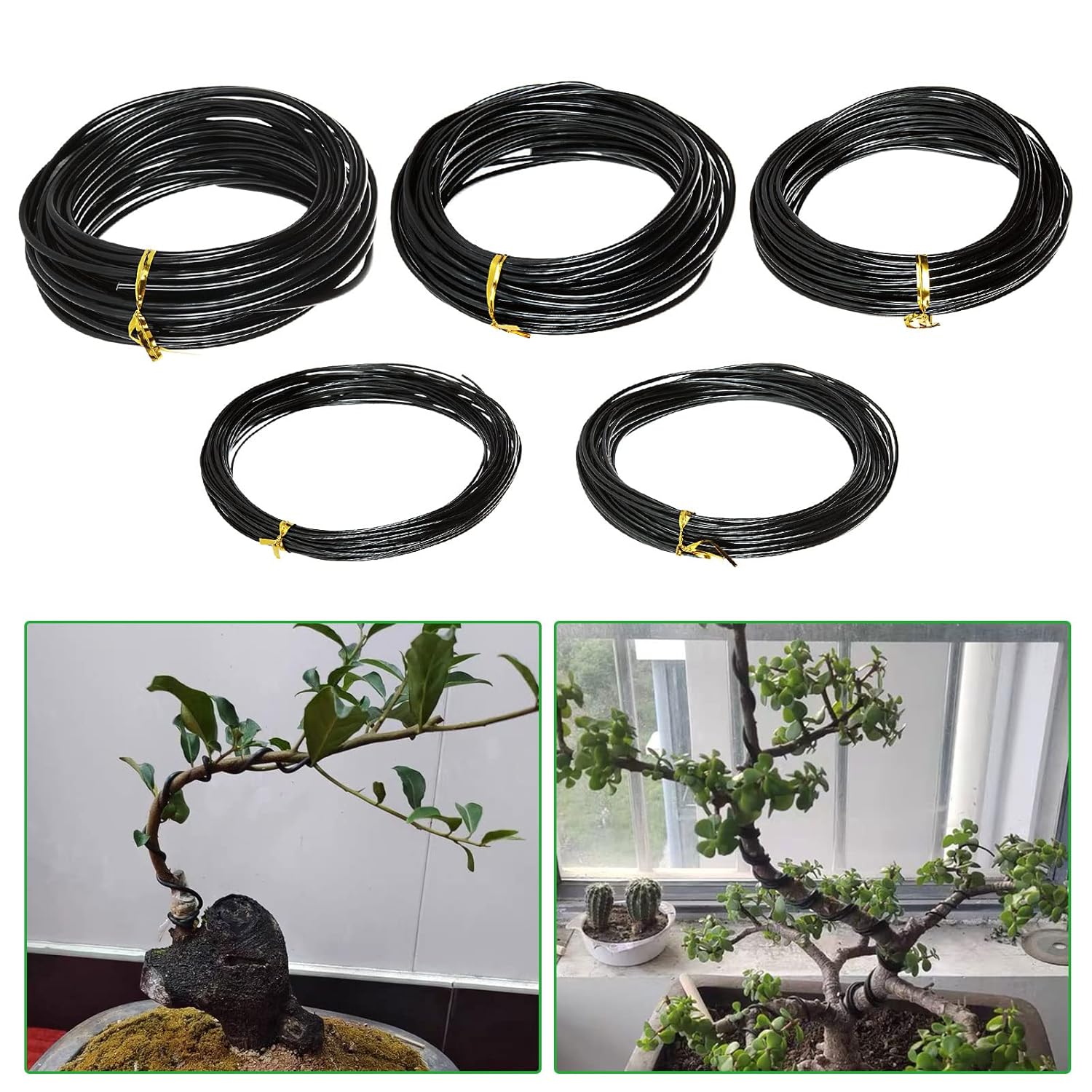 سلك بونساي لدعم النباتات، سلك  - مراجعة Bonsai Garden Accessories وسعره